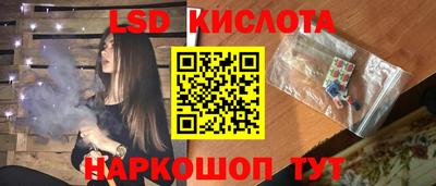 крисы Шебекино