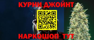 крисы Шебекино