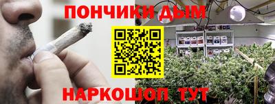 крисы Шебекино