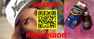крисы Шебекино
