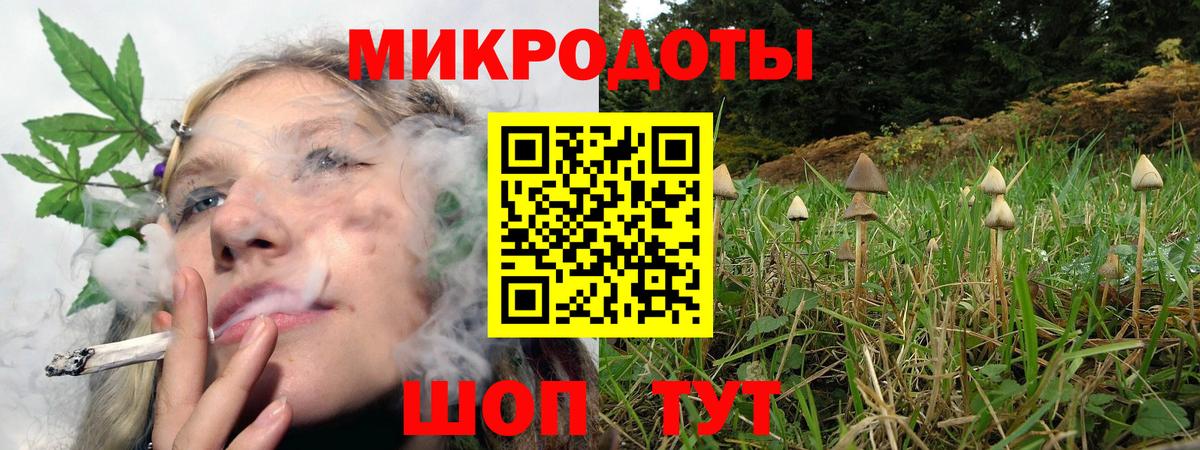 Луга  Псилоцибиновые грибы мицелий  где купить наркотик  Вход с VPN  Псилоцибиновые грибы Magic Shrooms 